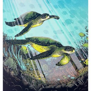 Tulamben Bay, Bali, Adv-181