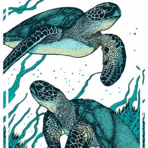 Sipadan Island, Sabah, Malaysia, Adv-182