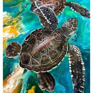 Raja Ampat, Indonesia, Adv-183