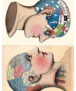 Phrenology, Adv-200