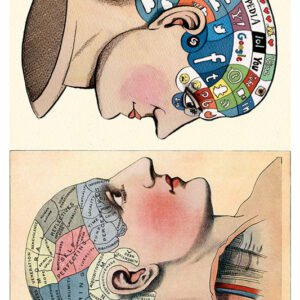 Phrenology, Adv-200