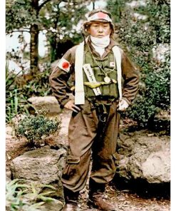 WW2, Japan, Asian13