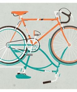 Bike, CYCL-11.