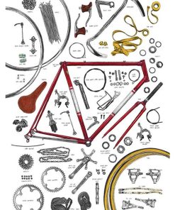 Bike, CYCL-8.