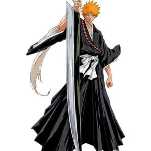 Bleach, Cmx-089.