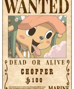 One Piece, Cmx-373