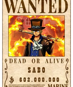 One Piece, Cmx-374