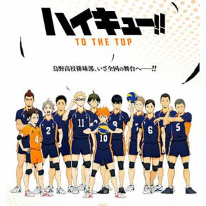 Haikyu, Cmx-480
