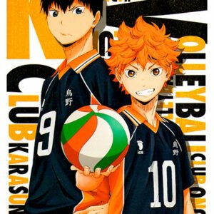 Haikyu, Cmx-482