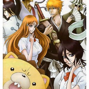 Bleach, Cmx-489