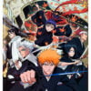 Bleach, Cmx-492