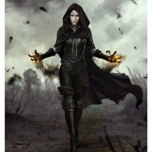 The Witcher,  Gme-054