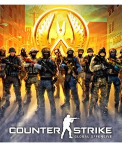 Counter Strike Global Offensive, Gme-105.