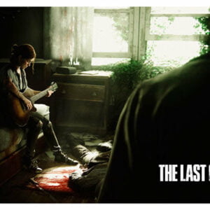 The Last of Us, Gme-138
