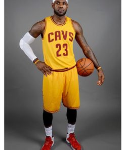 LeBron James MALI-18.