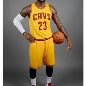 LeBron James MALI-18.
