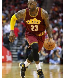 LeBron James MALI-19.