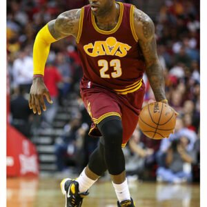 LeBron James MALI-19.