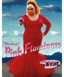 Pink Flamingos, MocB-125