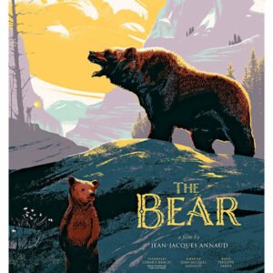 The Bear, Mocu-331