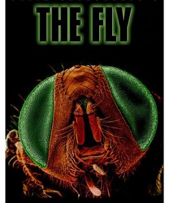 The Fly, Mocu 468.