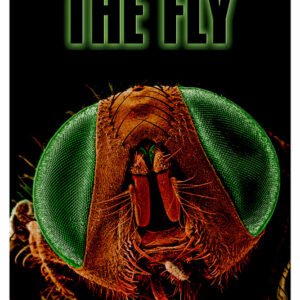 The Fly, Mocu 468.