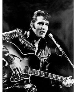 ''Elvis 2'' Mus-19.