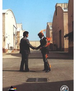 Pink Floyd, Mus-204