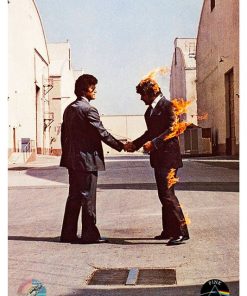 Pink Floyd, Mus-205