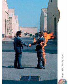Pink Floyd, Mus-206