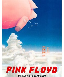 Pink Floyd, Mus-207