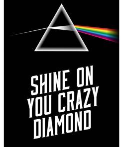 Pink Floyd, Mus-217