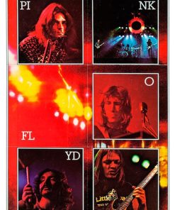 Pink Floyd, Mus-218