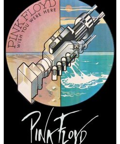 Pink Floyd, Mus-222