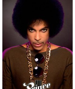 Prince, Mus-273