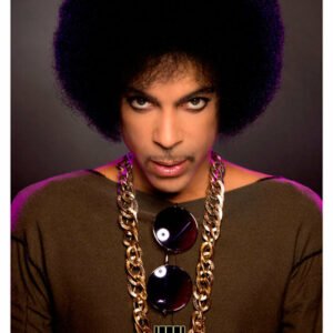 Prince, Mus-273