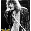 Bon Jovi, Mus-346