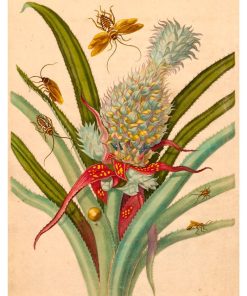 Vintage Nature, Natr-021.