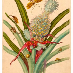 Vintage Nature, Natr-021.