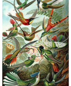 Vintage Nature, Natr-024.