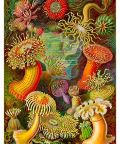 Vintage Nature, Natr-028.