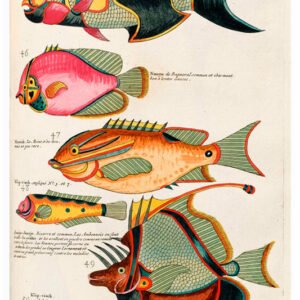 Vintage Nature, Natr-072.