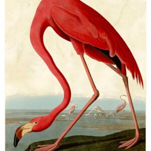 Vintage Nature, Natr-083.