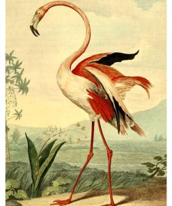 Vintage Nature, Natr-087.