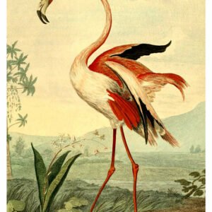 Vintage Nature, Natr-087.