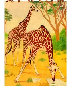 Africa, SA-21.