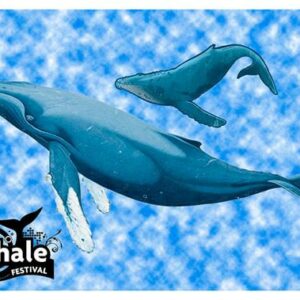 Africa, South Africa, Hermanus SA-30.