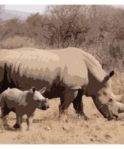 Africa, SA-35.