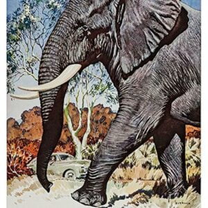 South Africa, SA-40.