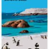 Boulders Beach, Cape Town, SA-71